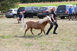 WJ6_6939