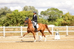 SBM_006273