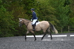 WJ5_9688