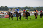 290826-Race 1-Trilby-5239