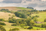 Rural Peace