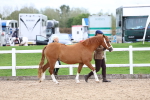 SBM_05819