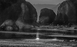 Pacific Northwest portfolio