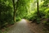 Blue route to Orrest Head