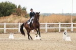 SBM_006890