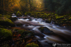 The Flow Of Autumn