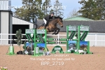 BPP_2719