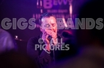 Hevvy Bevvy Blues Band-11