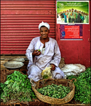 Wahid the Vegetable Seller