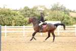 SBM_023741