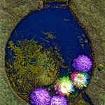 ENTROPY TRIPTYCH lV-Vl