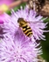 20110730-IMG_6204