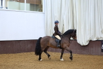 Class 37 - 80cm Training Stakes portfolio