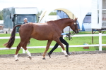 SBM_03919