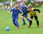 Wattsfield Under 7's portfolio