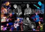 The Wilko Johnson Band-7