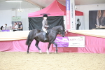 SBM_08640
