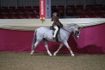 Class 101 Equitation (best rider), Junior portfolio