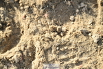 251004A-164144-02179