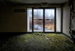 Abandoned Resort | Mossy Carpet