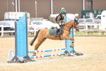 SBM_000184