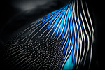 BLACK WHITE and  BLUE