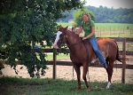 Haleys Horse_019