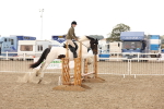 SBM_06690
