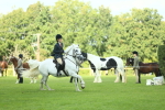 SBM_42915
