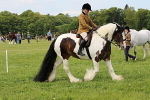 SIAL3249