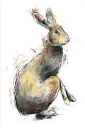 WORKS IN COLOUR portfolio