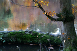 Buchan Park 2 - 10