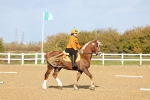 SBM_000738