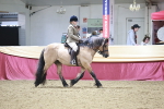 SBM_08117