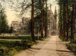 Winchester Cathedral 1
