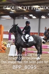 BPP_8095