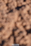 240505A-182638-07578