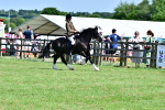 SBM_08034