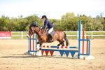 SBM_000442