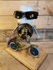 Recycling Rob 2