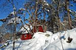 Fløyfjellet, Bergen