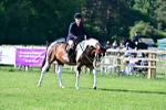 SBM_11676
