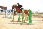 SBM_000903
