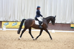 SBM_004568