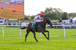 080926-Race 2-Queen Sana-1903