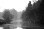 River Frome misty mornng  B0188