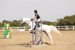 SBM_001717