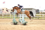 SBM_003358