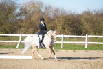 SBM_004811