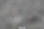 250621-152028-10853